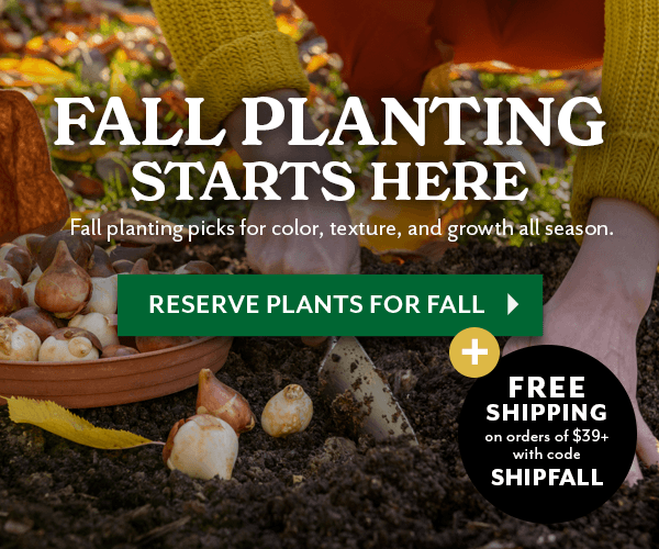 SHOP ALL PLANTS FOR FALL