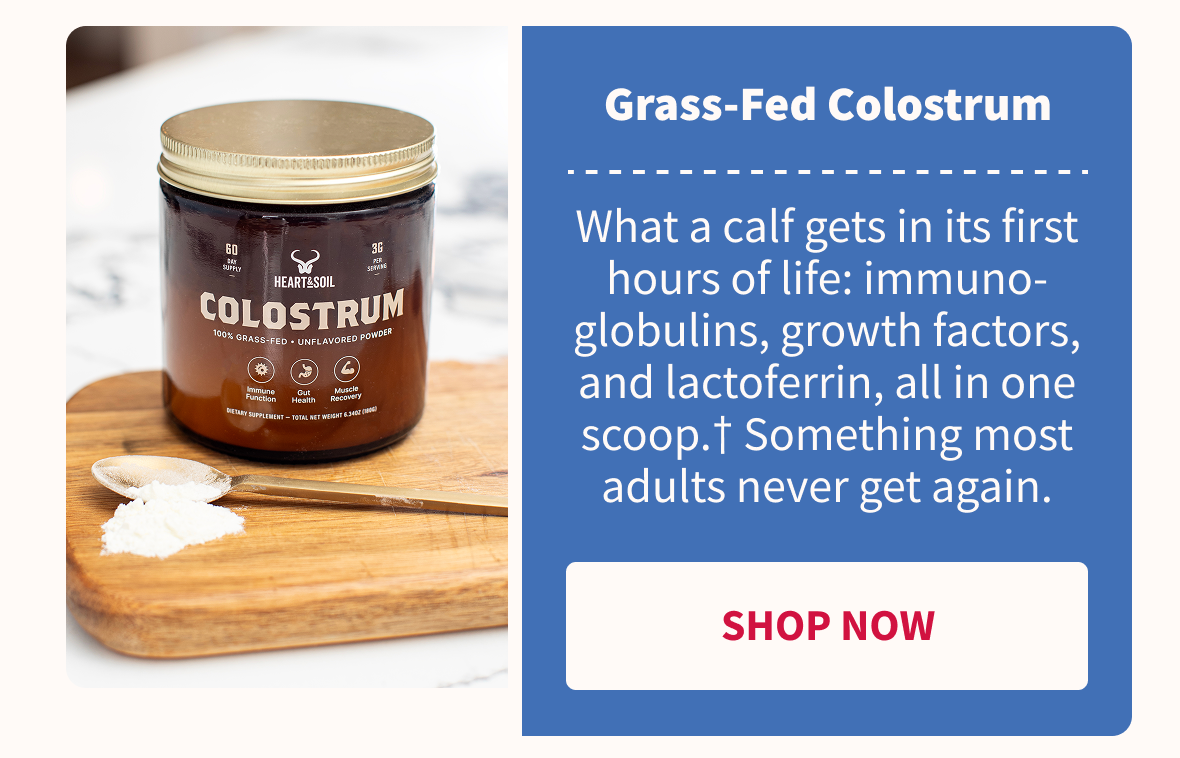 Grass-Fed Colostrum | Shop Now