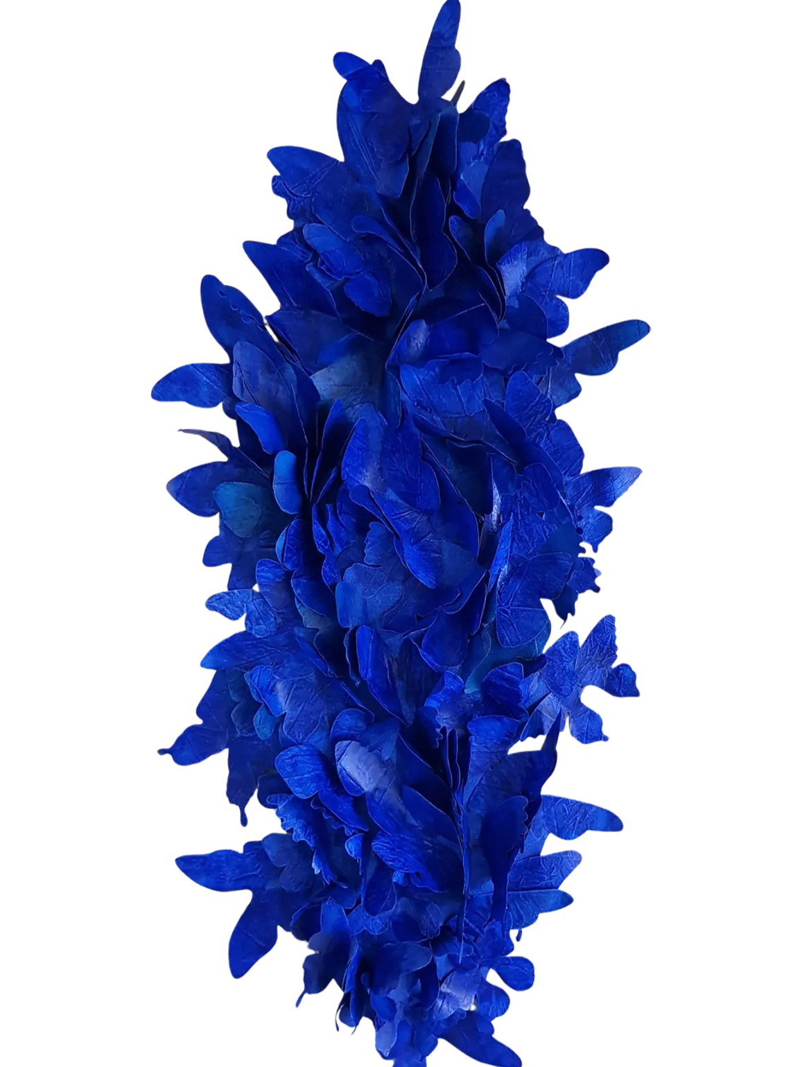 Unfolding in Blue, Daria Startseva