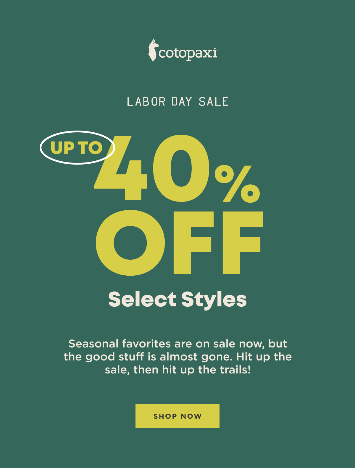 Shop Now