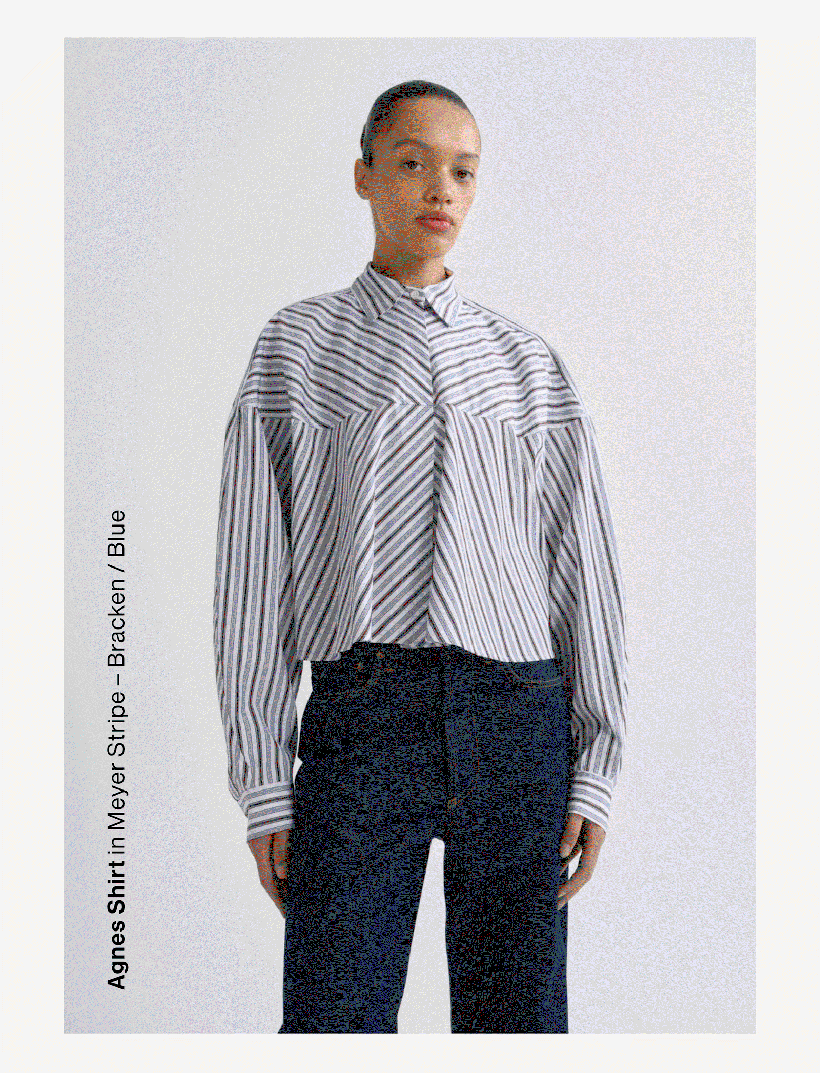 The Stripe Shirt