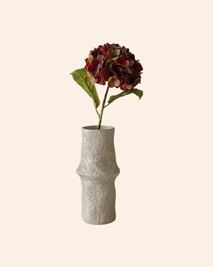Botané
