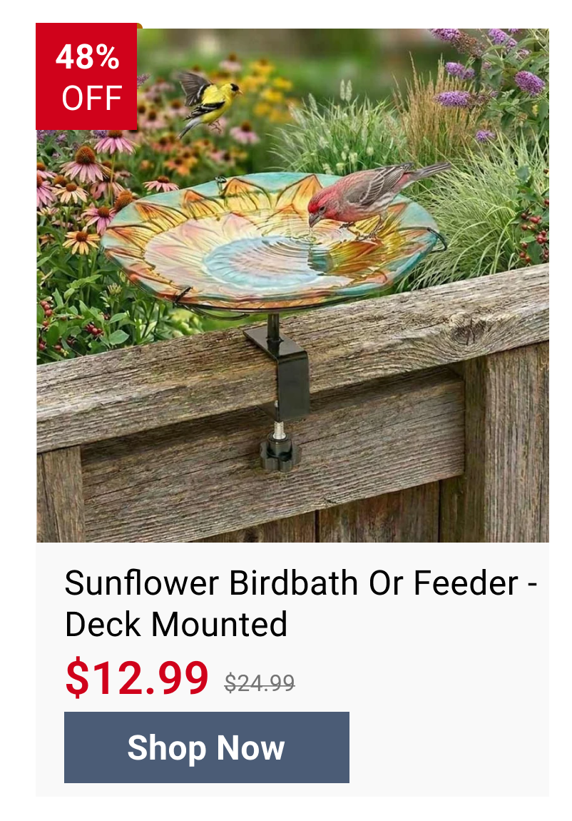 Sunflower Birdbath Or Feeder - Deck Mounted