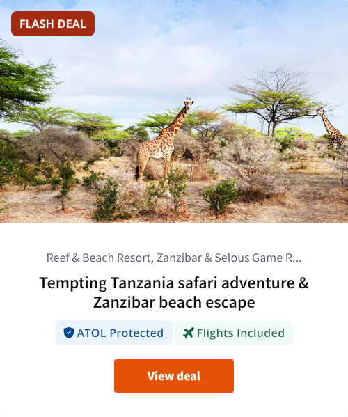 Tempting Tanzania safari adventure &amp; Zanzibar beach escape