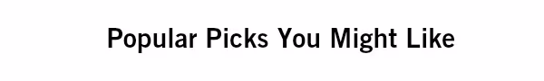 Popular Picks You Might Like