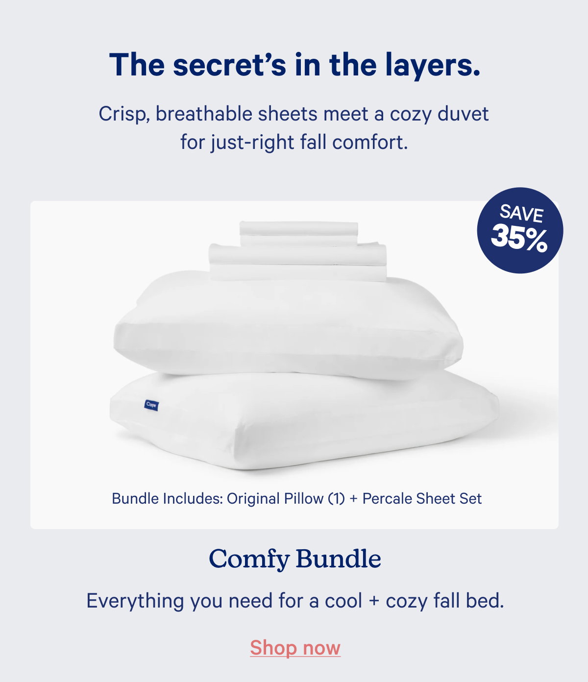 Comfy Bundle