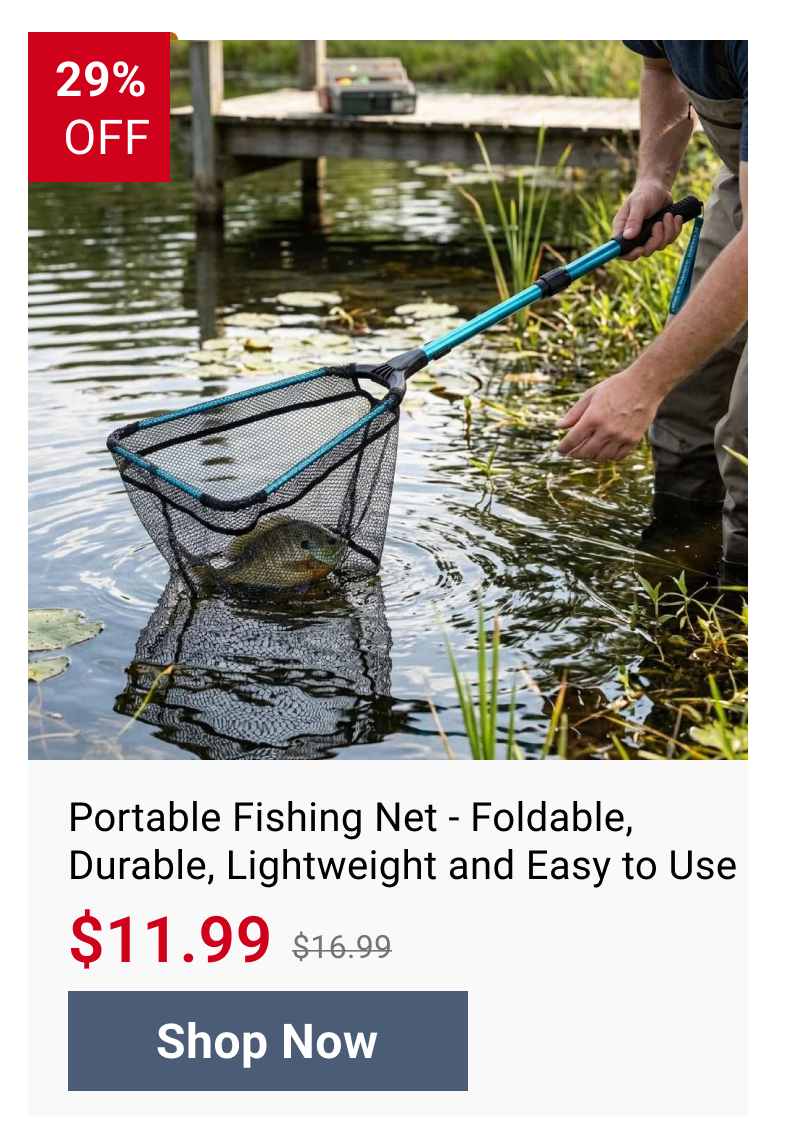 Portable Fishing Net - Foldable, Durable, Lightweight and Easy to Use - Default Title