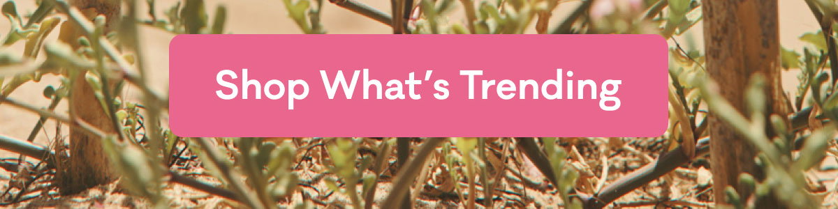 Shop What's Trending