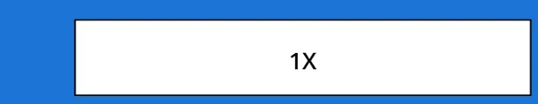 1X