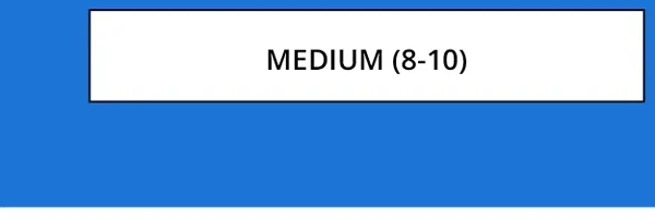 MEDIUM (8-10)
