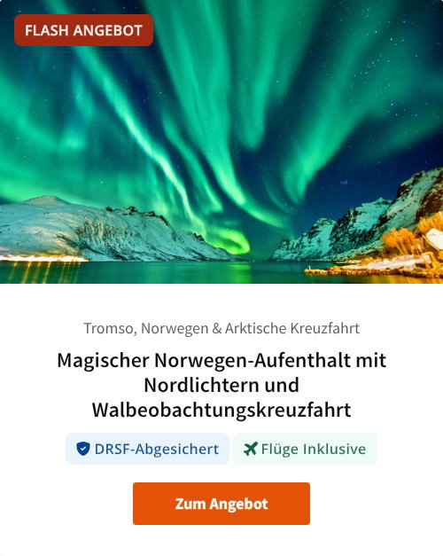 Magischer Norwegen-Aufenthalt mit Nordlichtern und Walbeobachtungskreuzfahrt