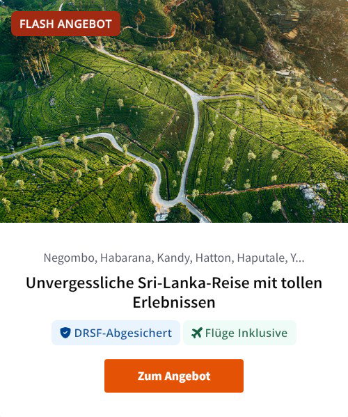 Unvergessliche Sri-Lanka-Reise mit tollen Erlebnissen