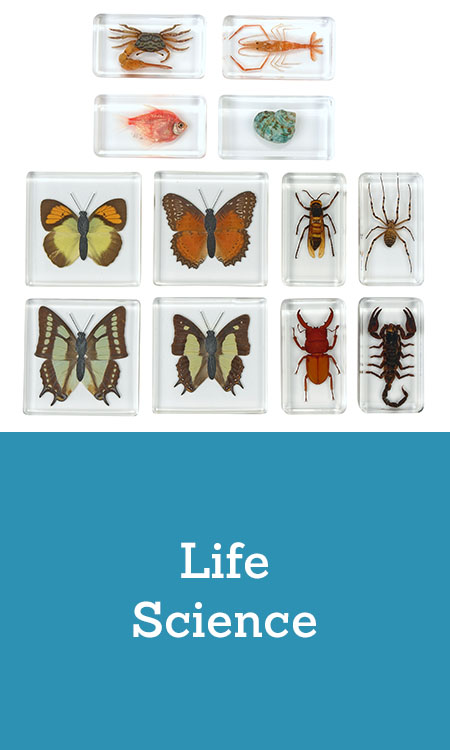 Life Science