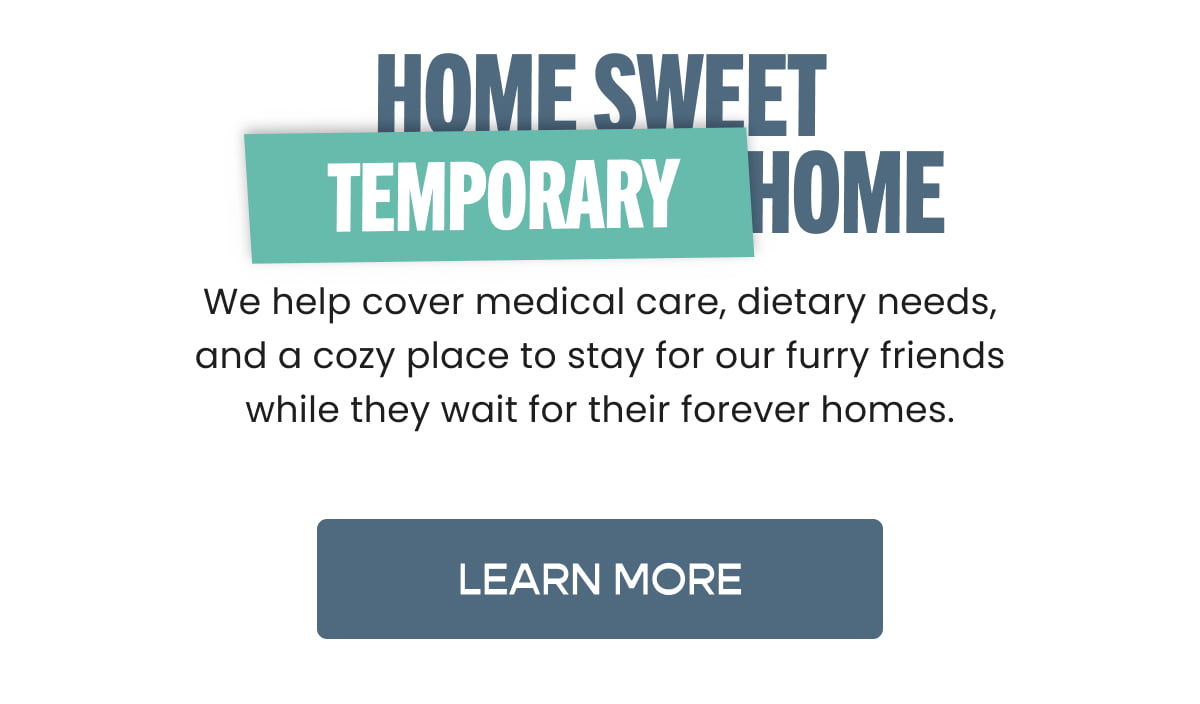 Home Sweet Temporary Home [Click here to Learn More]