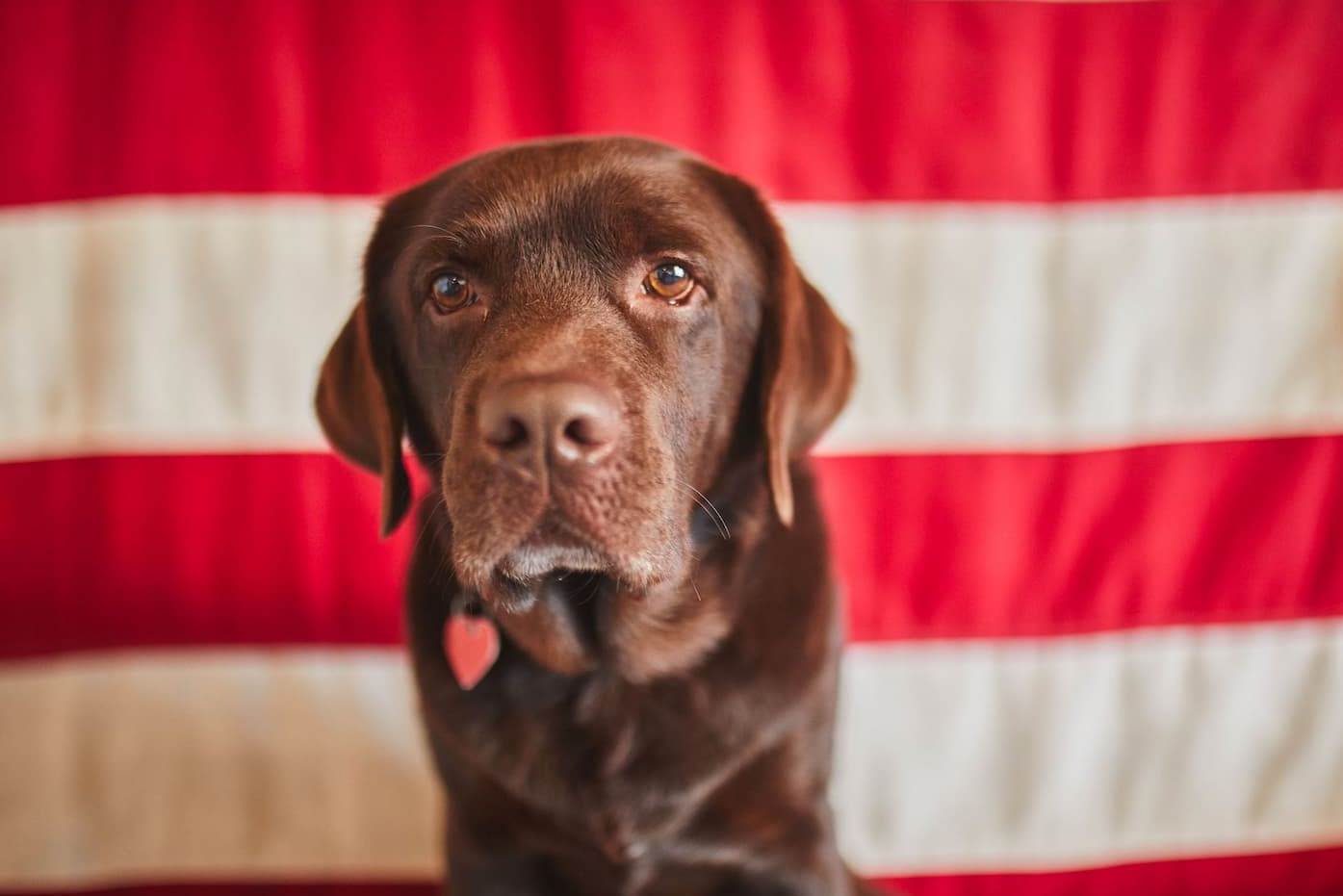 In Loving Memory, Monster, President, GORUCK Nation