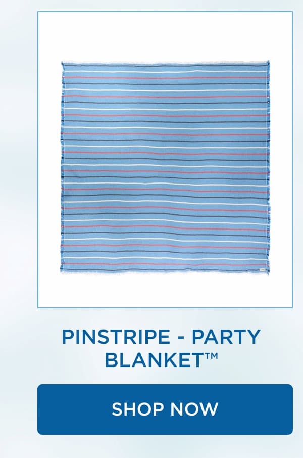 Pinstripe - PARTY BLANKET™