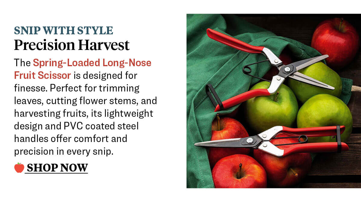 Spring-Loaded Long-Nose Fruit Scissor