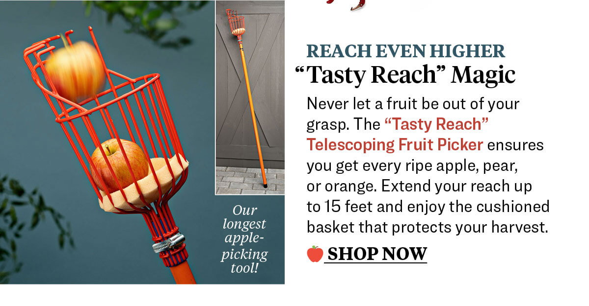 "Tasty Reach" Telescoping Fruit Picker