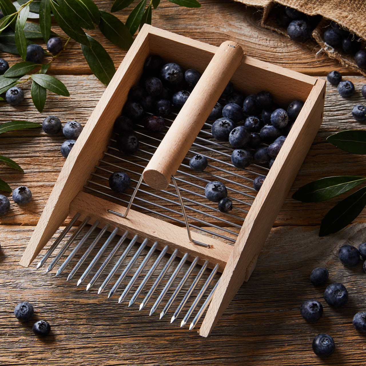 Image of Huckleberry Comb  Berry Harvester