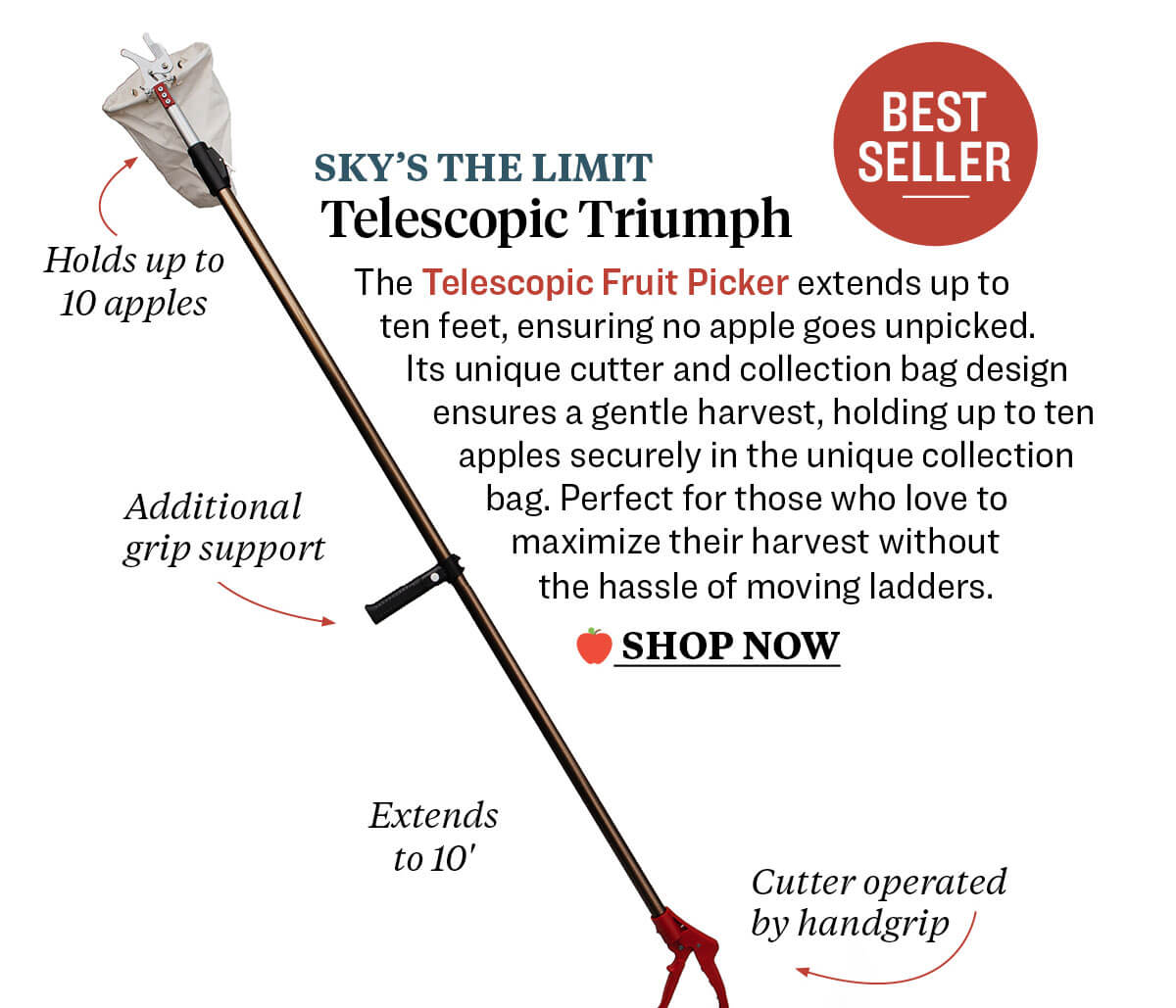 Telescopic Fruit Picker