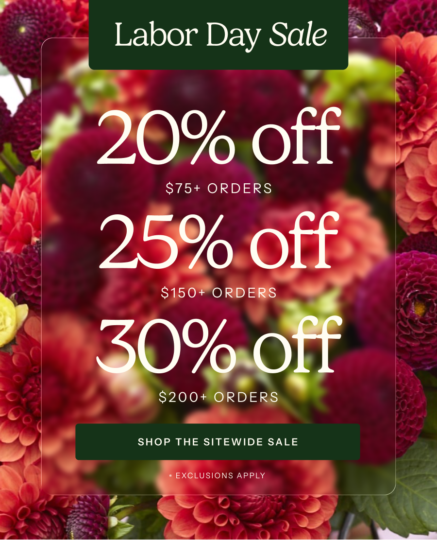 Labor Day Sale - 20% off $75+, 25% off $150+, 30% off $200+