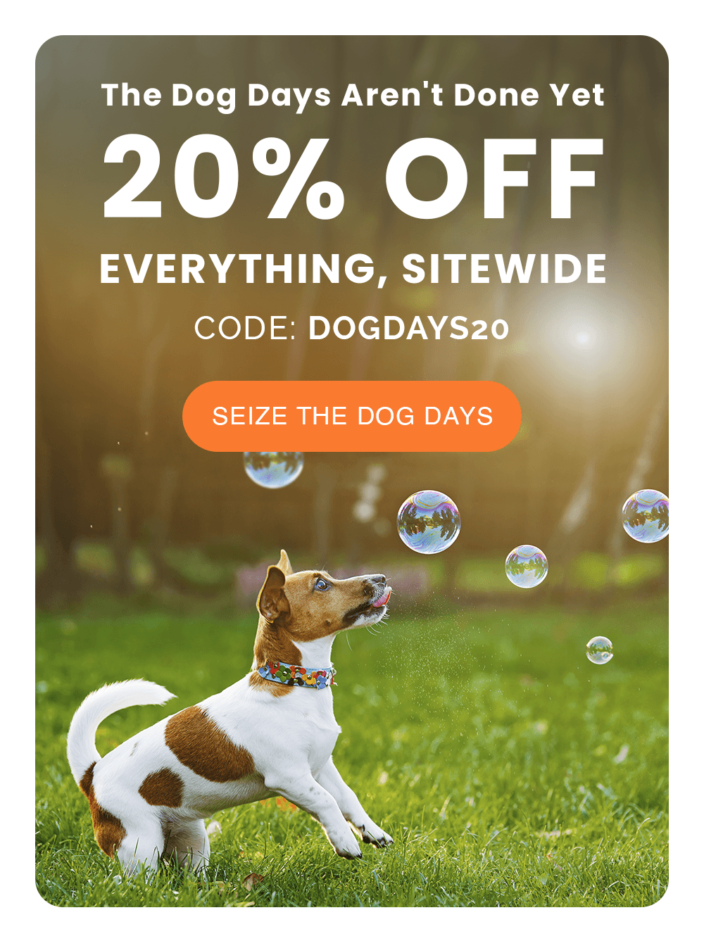 The Dog Days Aren't Done Yet. 20% OFF EVERYTHING, SITEWIDE. CODE: DOGDAYS20