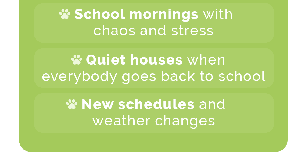   🐾 Hot ground 🐾 Long days  🐾 School mornings with chaos and stress  🐾 Quiet houses when everybody goes back to school  🐾 New schedules and weather changes