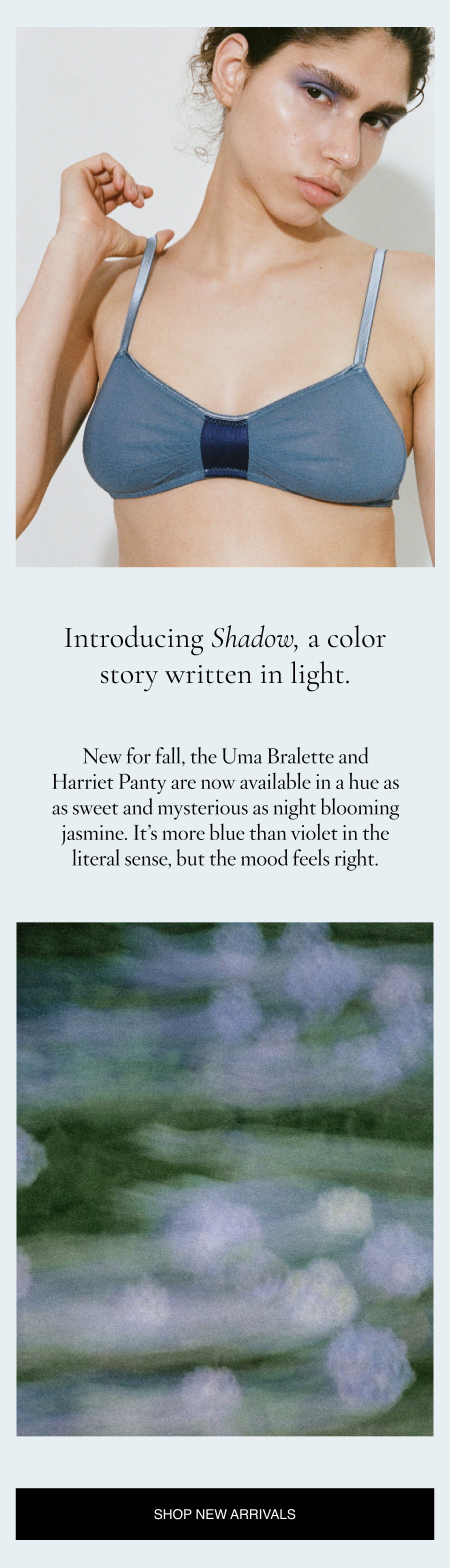 introducing Shadow, and a few new special prices 