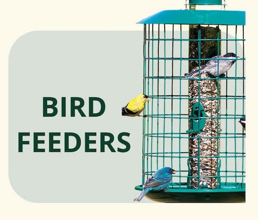 BIRD FEEDERS