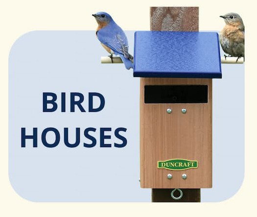 BIRD HOUSES