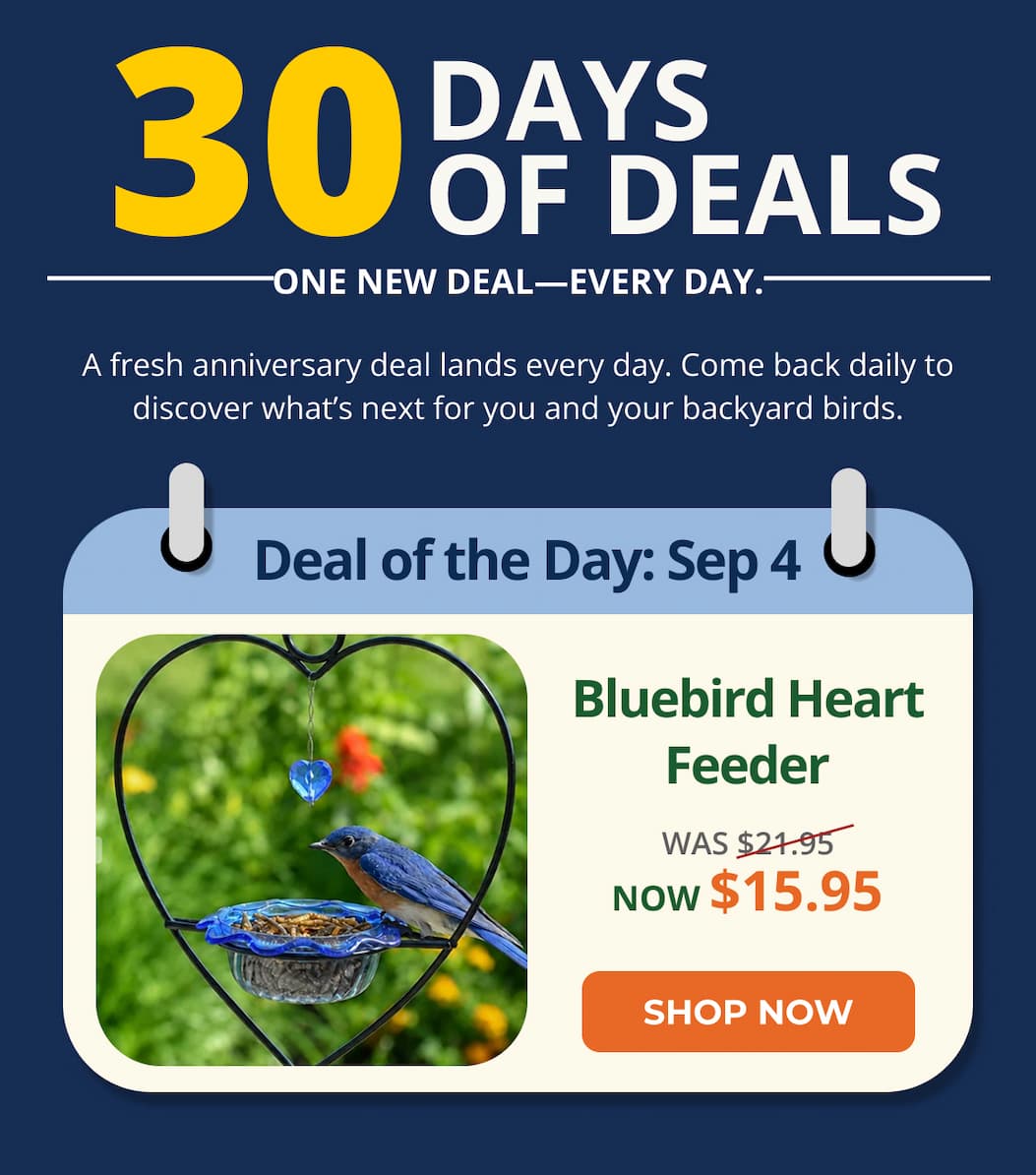 A fresh anniversary deal lands every day. Come back daily to discover what’s next for you and your backyard birds.