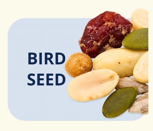 BIRD SEED