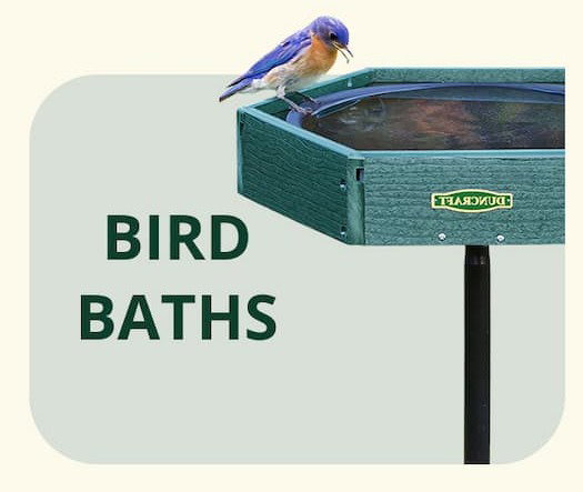 BIRD BATHS