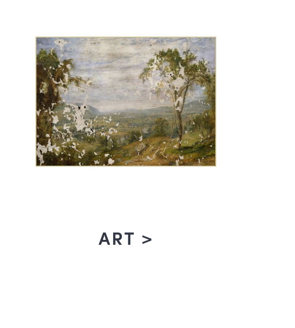 Shop Art