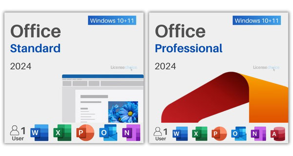 Microsoft Office 24 Pro Plus (Wind) Standard (Mac), licence à vie 1 PC