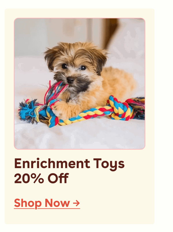 Enrichment toys
