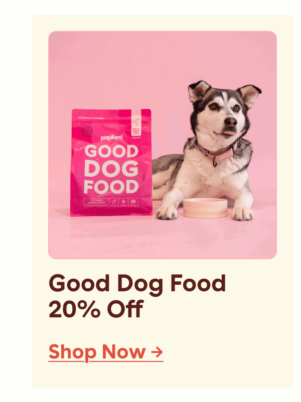 Good dog food