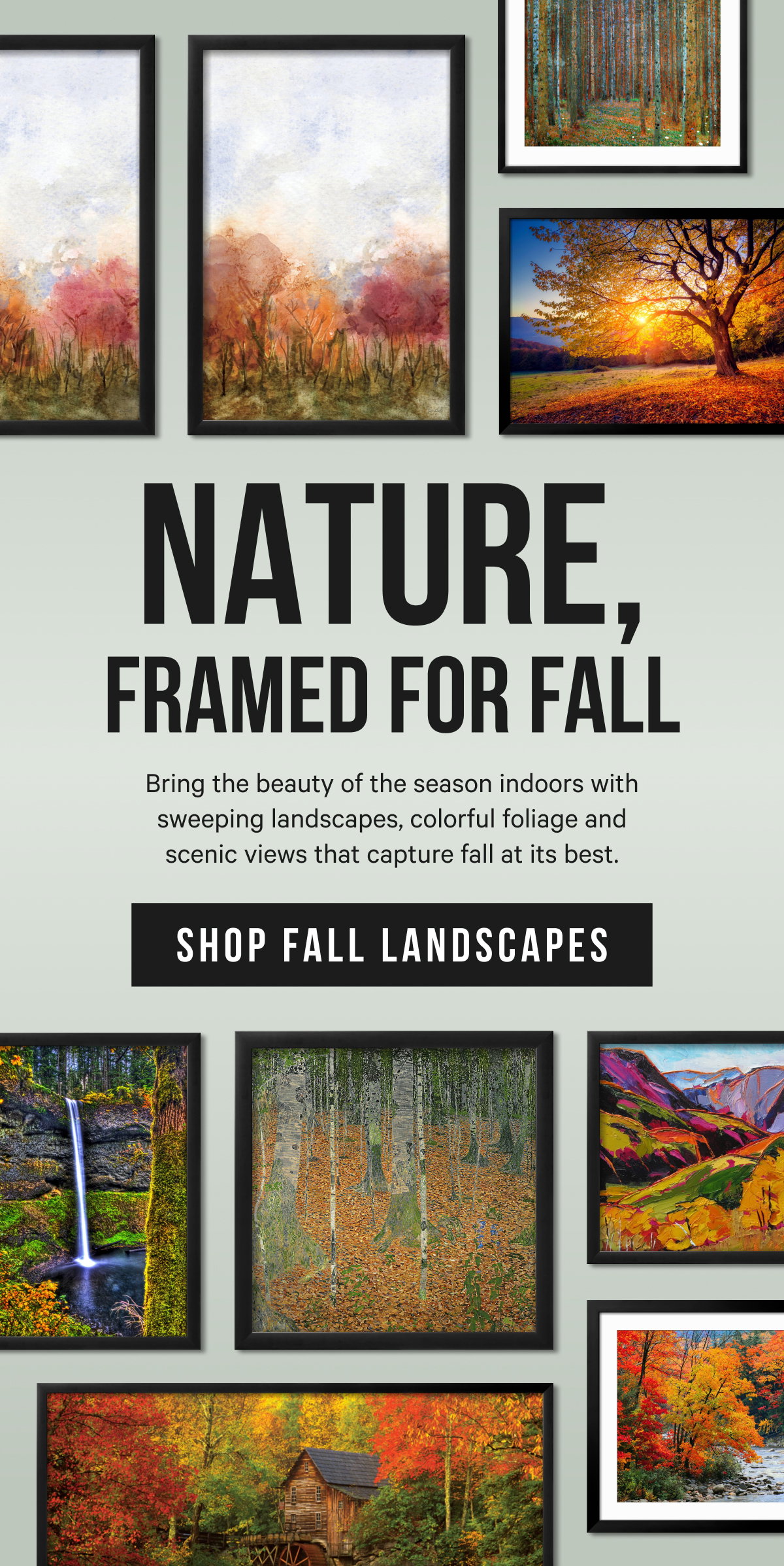 Nature, Framed for Fall: Bring the beauty of the season indoors with sweeping landscapes, colorful foliage and scenic views that capture fall at its best.