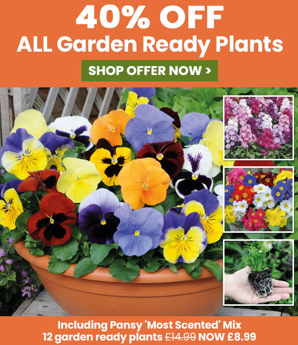40% OFF Garden Ready Plants