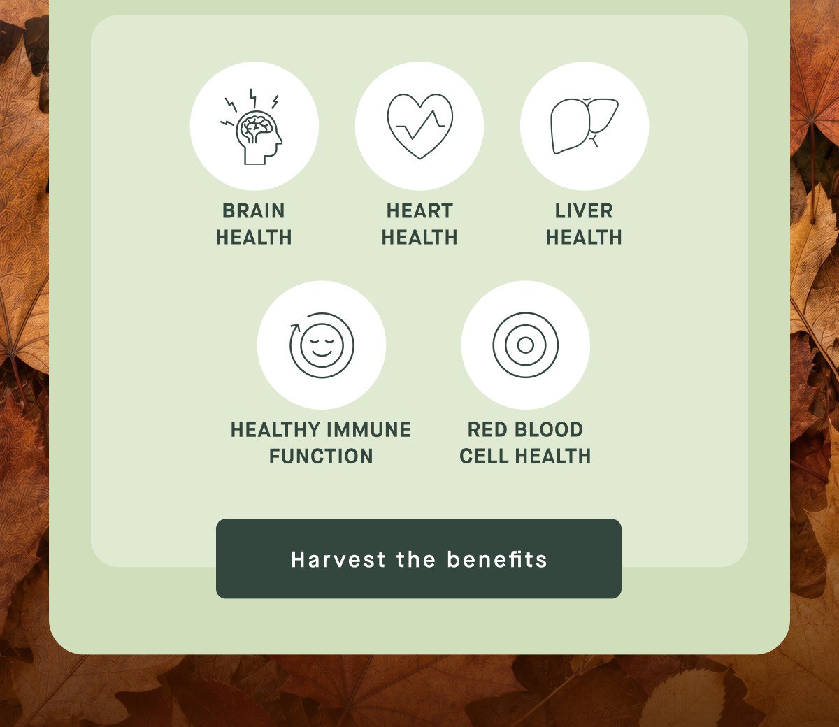 Brain Health Heart Health Liver Health Healthy Immune Function Red Blood Cell Health Harvest the benefits