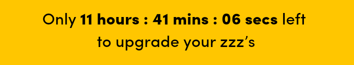 Countdown timer for Big Holiday Flash Sale.