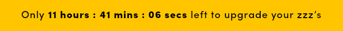 Countdown timer for Big Holiday Flash Sale.
