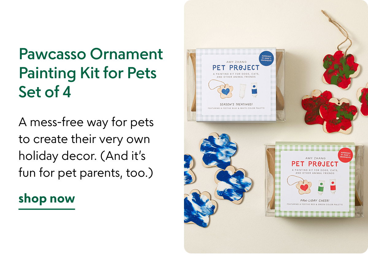 pawcasso-ornament-painting-kit-for-pets-set-of-4