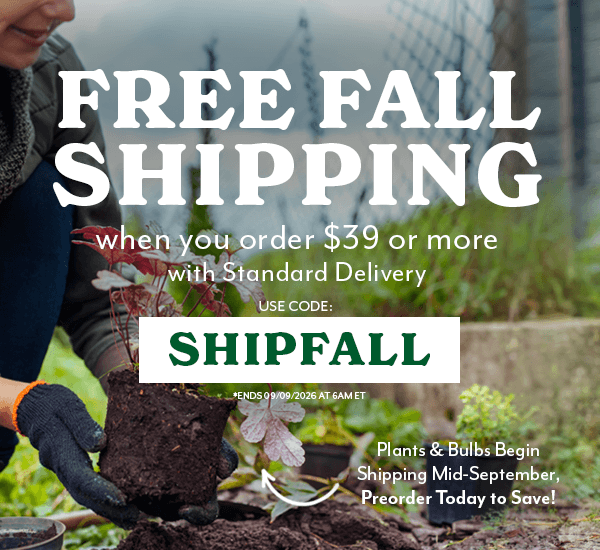 FREE FALL SHIPPING ON ORDERS OF $50 WITH STANDARD DELIVERY WITH CODE SHIPFALL
