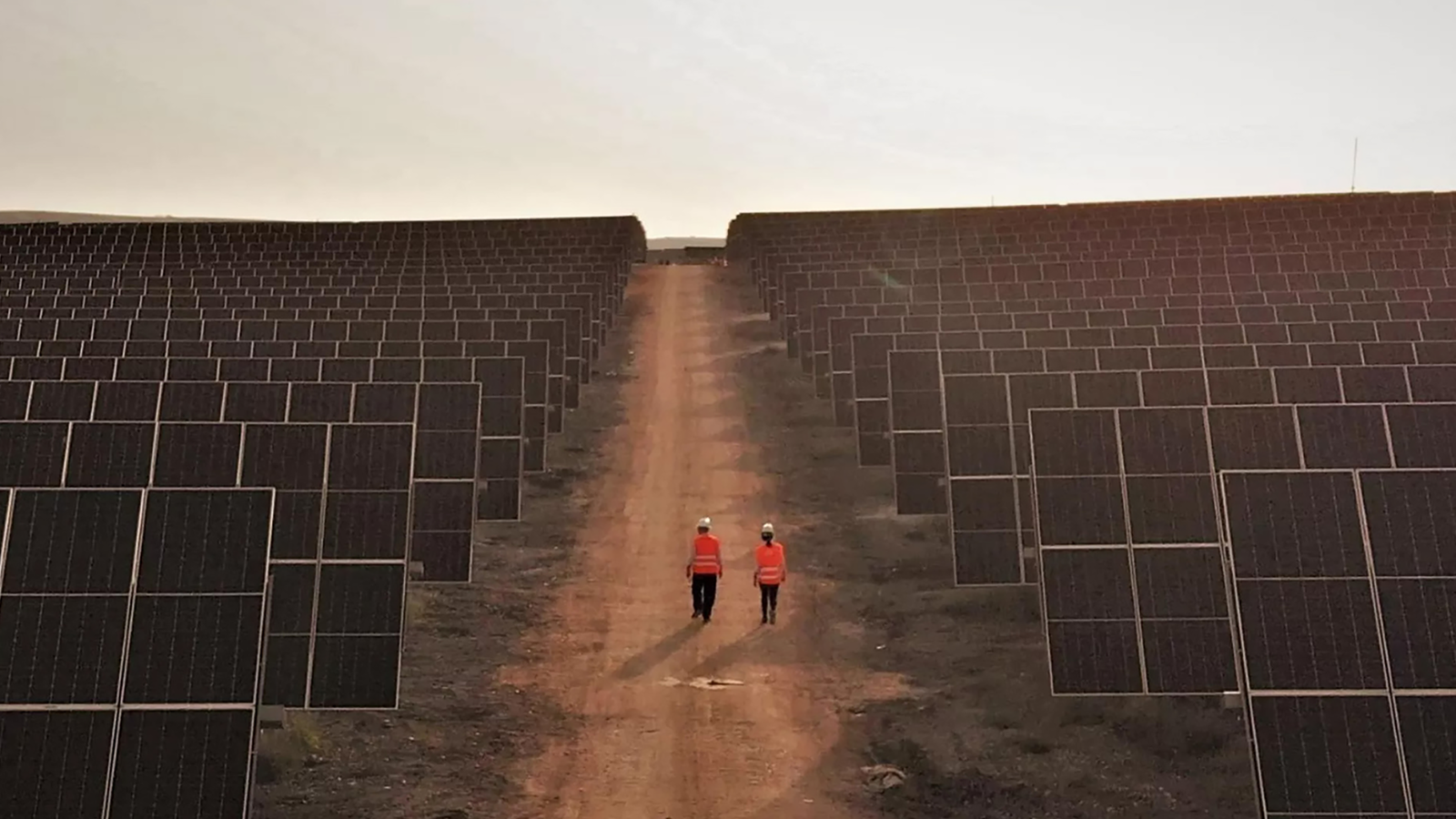 Two workers in orange safety vests walk between vast rows of solar panels