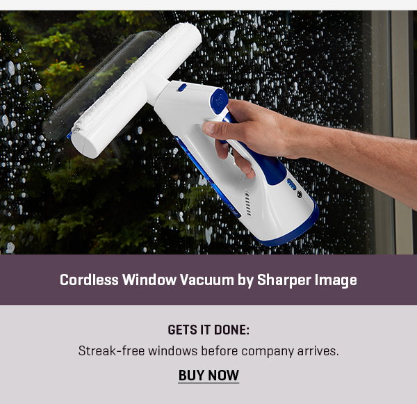 Cordless Window Vacuum by Sharper Image