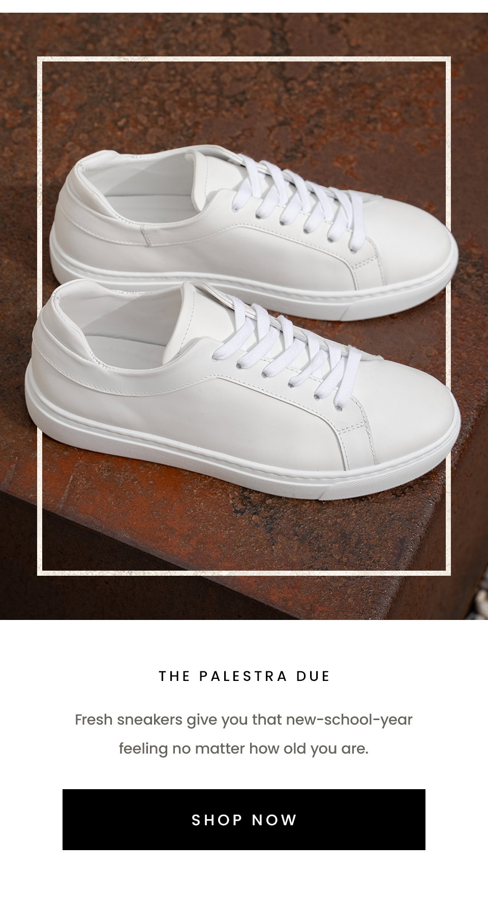 The Palestra | Fresh sneakers give you that new-school-year feeling no matter how old you are. < Shop Now > 