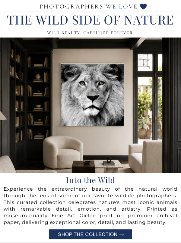 Photographers We Love - The Wild Side of Nature. Wild Beauty, Captured Forever. - Into the Wild: Experience the extraordinary beauty of the natural world through the lens of some of our favorite wildlife photographers. This curated collection celebrates nature's most iconic animals with remarkable detail, emotion, and artistry. Printed as museum-quality Fine Art Giclee print on premium archival paper, delivering exceptional color, detail, and lasting beauty.