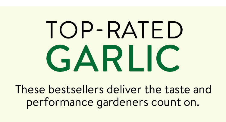 Garlic Bulbs