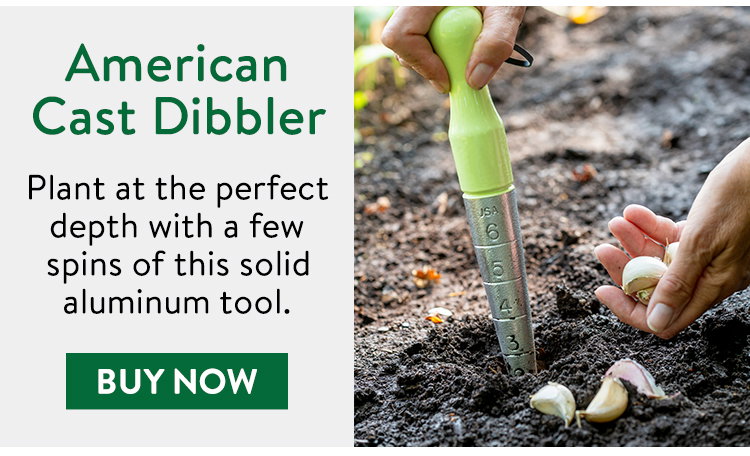 Burpee American Cast Dibbler